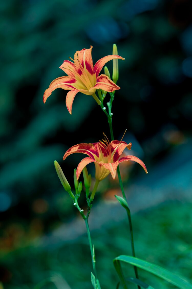 750_1125竖版 竖屏