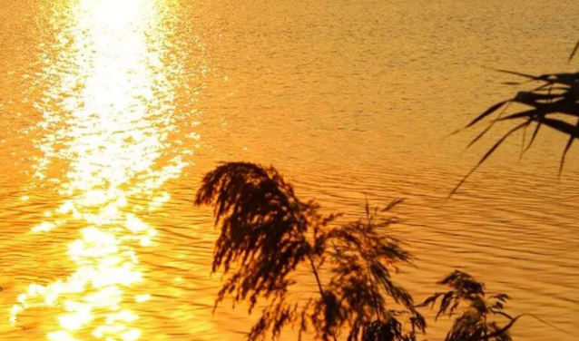 雪儿🎤V娱热点