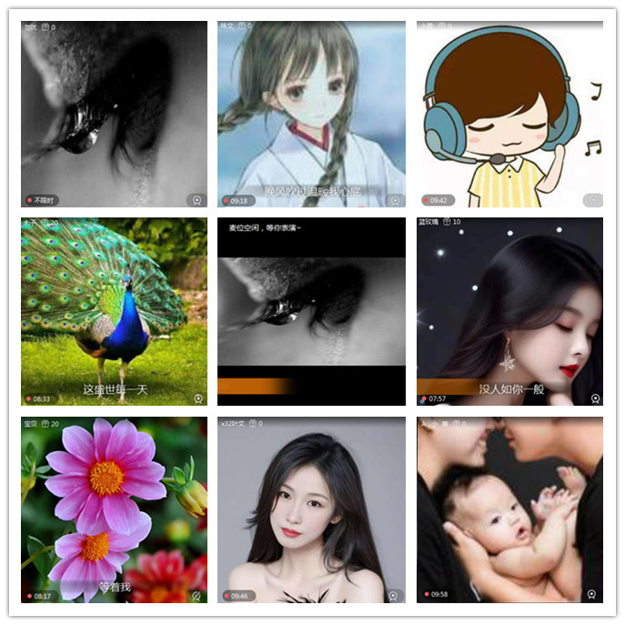 航航🎤V娱热点