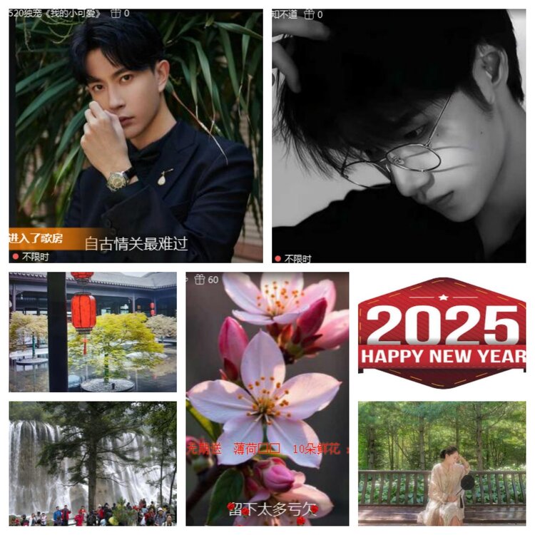 海燕🎤V娱热点