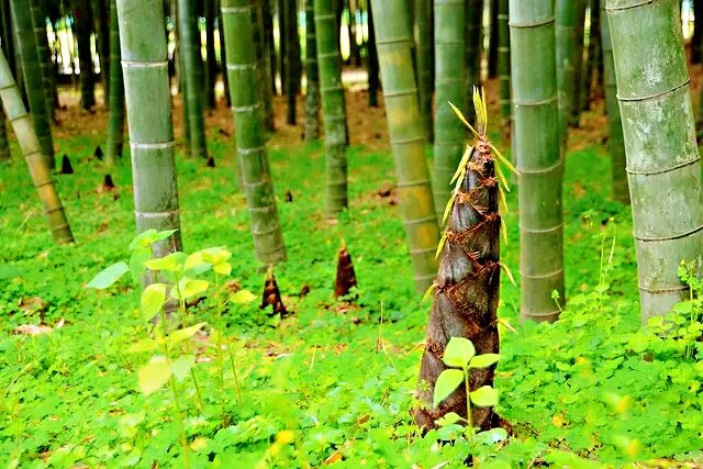 圆圆棱角【文声汇影】