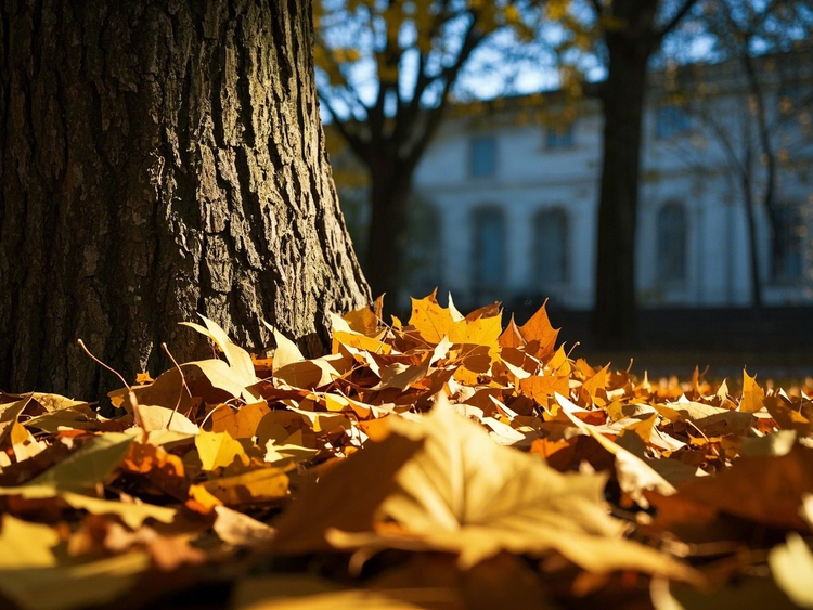 曾经🎤V娱热点