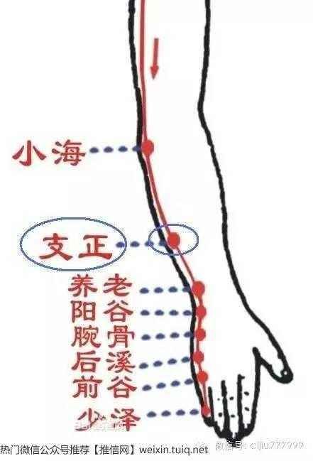 周颖医生～古派针灸师