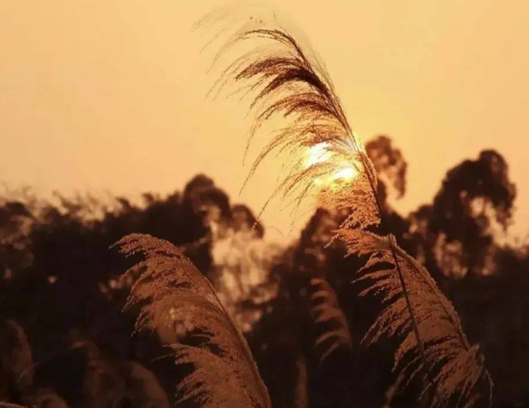 曾经🎤V娱热点