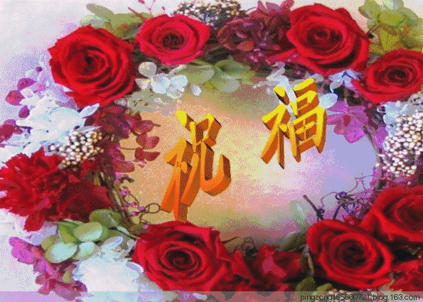 595_425gif 动态图 动图