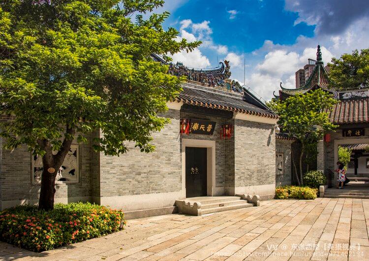 东张西望【美摄视界】