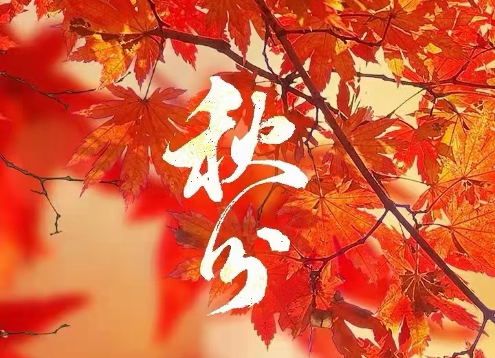 富丽怀川【西窗剪烛】