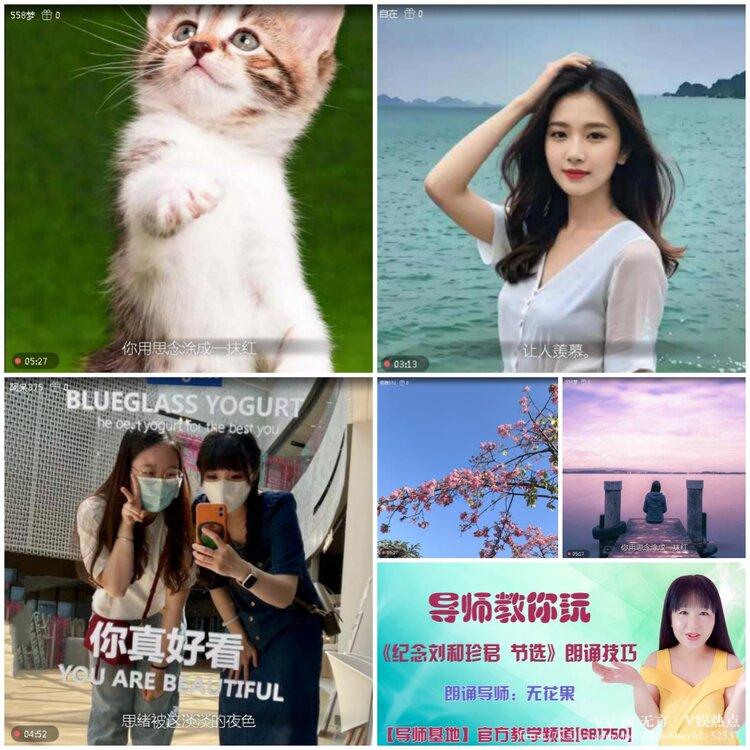 无言🎤V娱热点