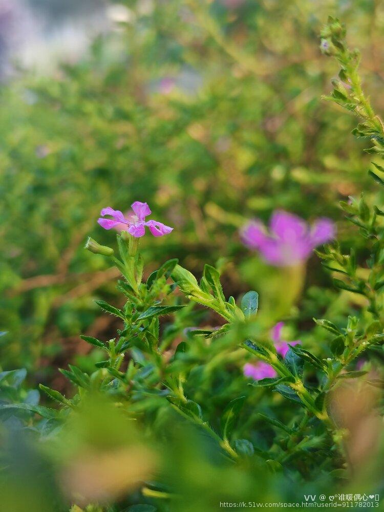 ღ°谁暖偶心❤ᝰ