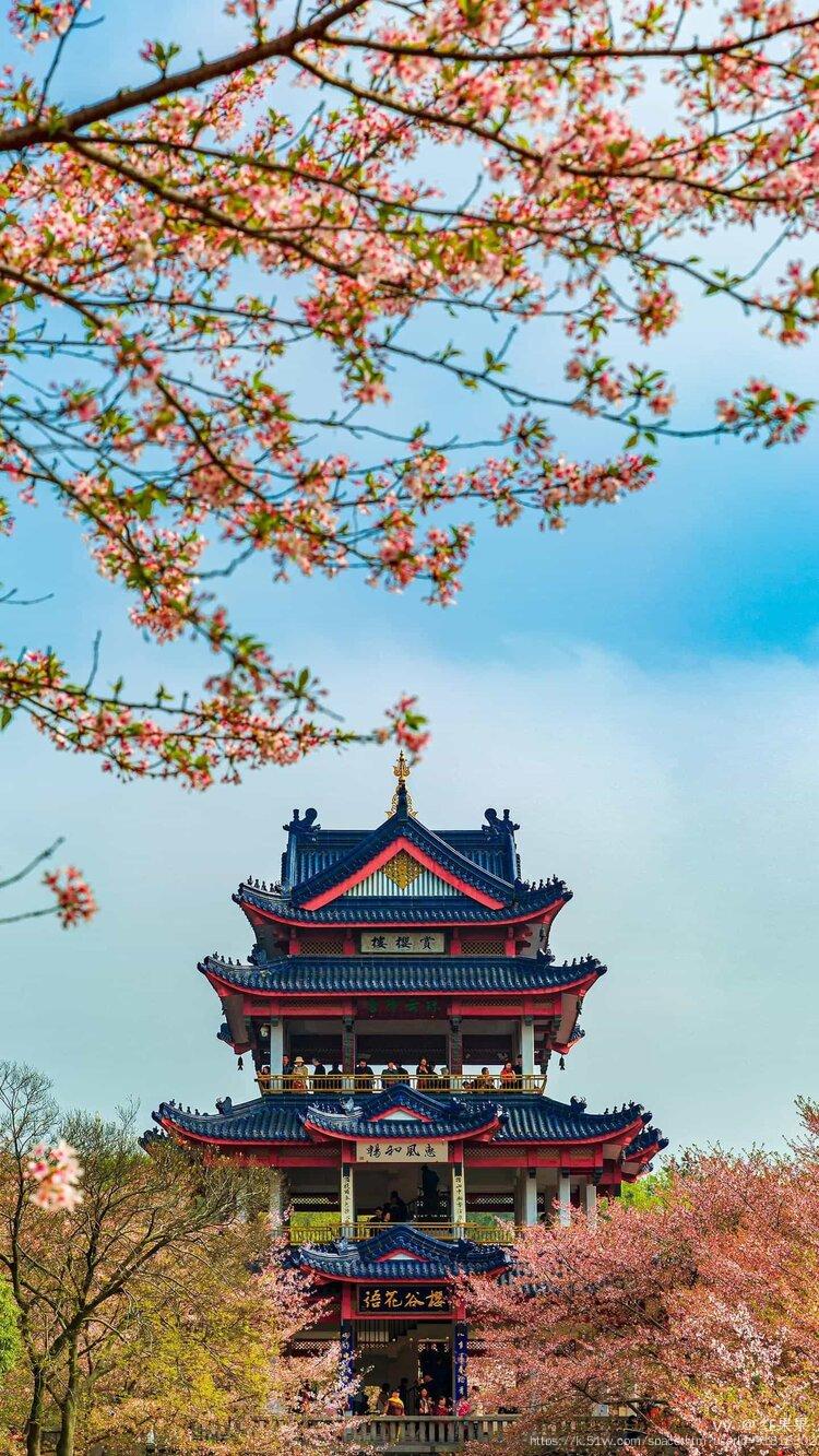 红果果