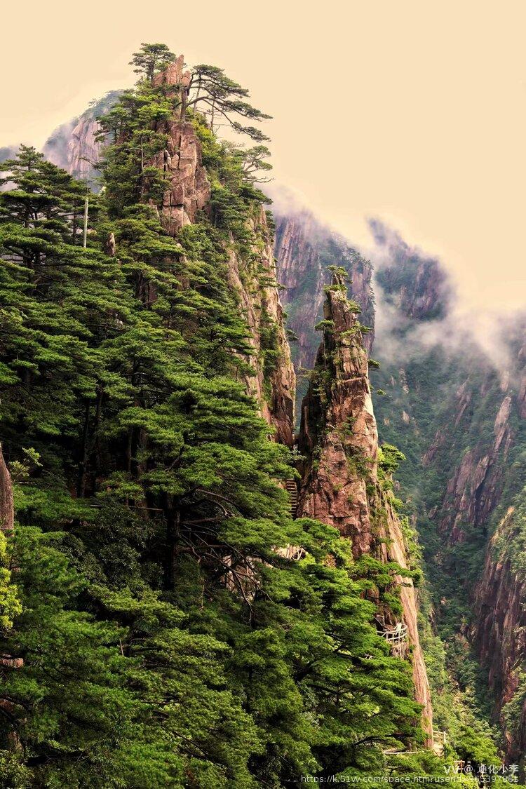 通化小李