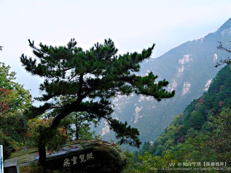 知白守黑【美摄视界】