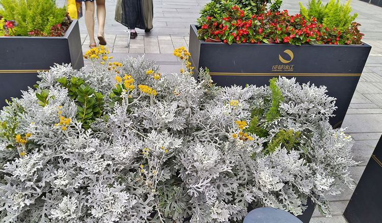 雪儿🎤V娱热点