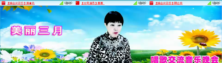 无言🎤V娱热点