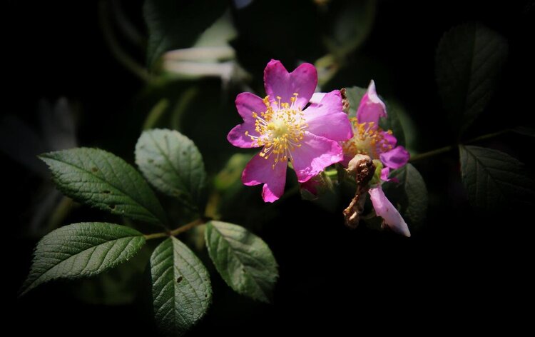 曾经🎤V娱热点