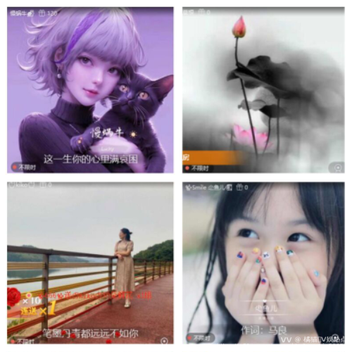 橘猫🎤V娱热点