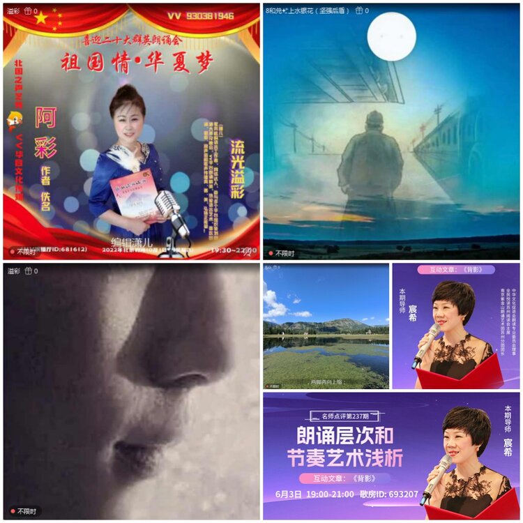 无言🎤V娱热点