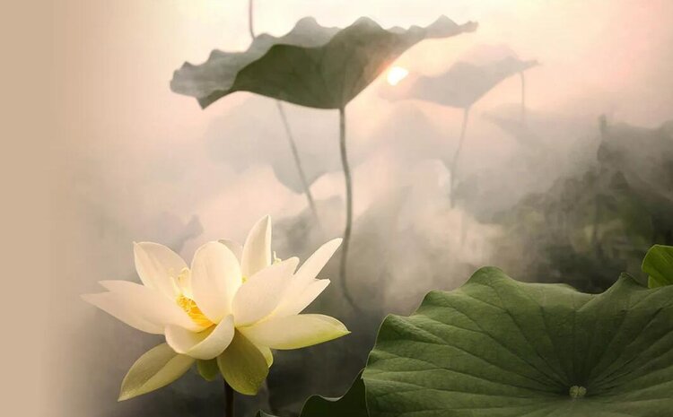 曾经🎤V娱热点