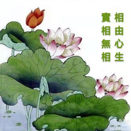 性格决定面相,相由心生,美貌也是一种福报.