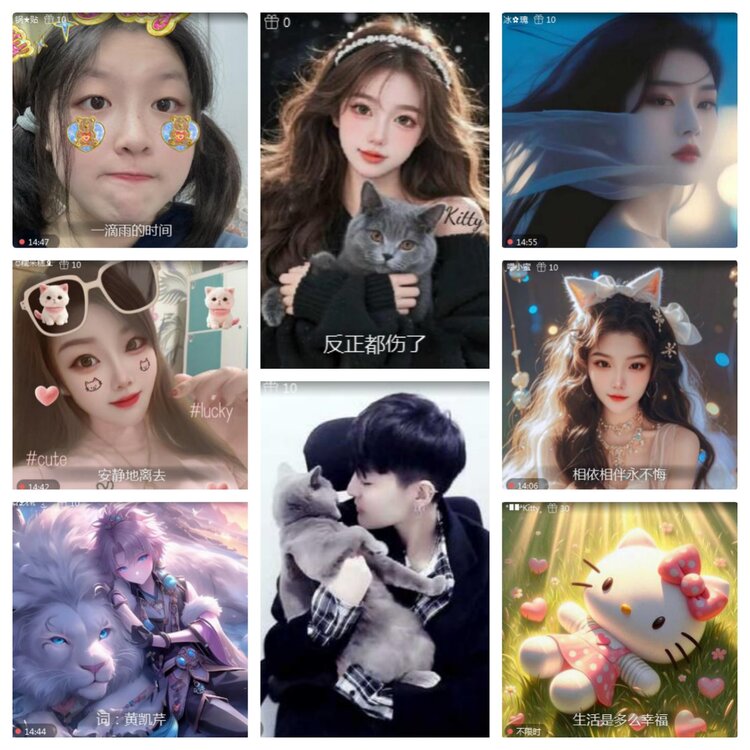 海燕🎤V娱热点