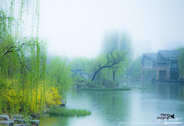 ☘️心雨ᴾᴬ