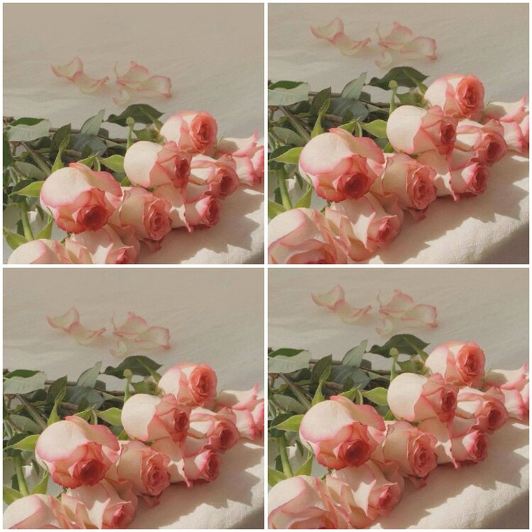 思点🎤V娱热点