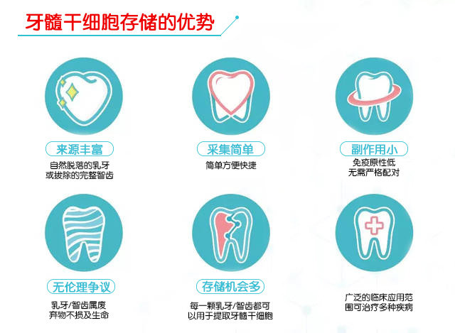 这几种方法激活干细胞可让损坏的牙齿再生