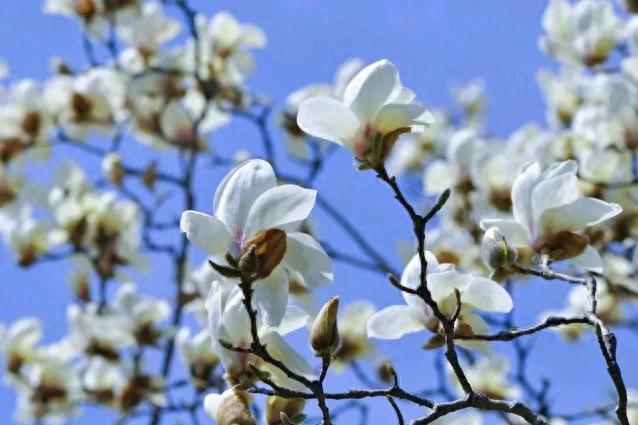 小浅🎤V娱热点