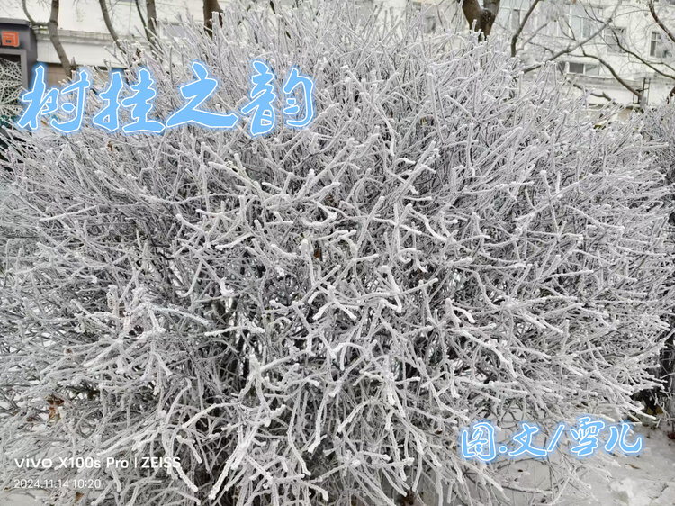 雪儿🎤V娱热点