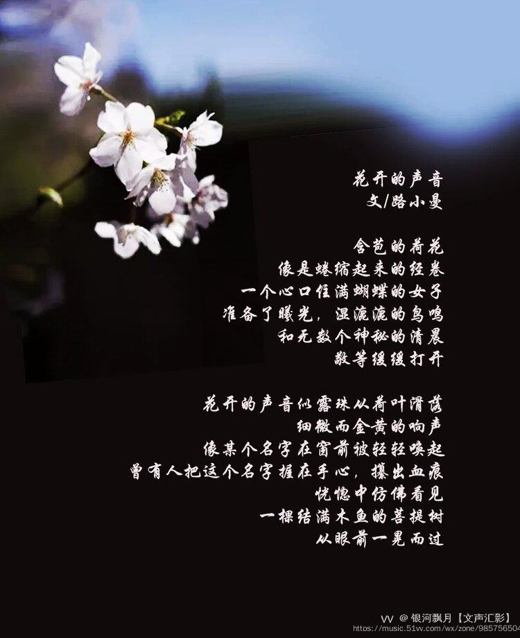 首发路小曼诗歌组篇花开的声音朗诵银河飘月