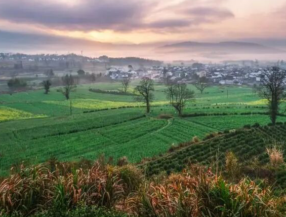 雪儿🎤V娱热点