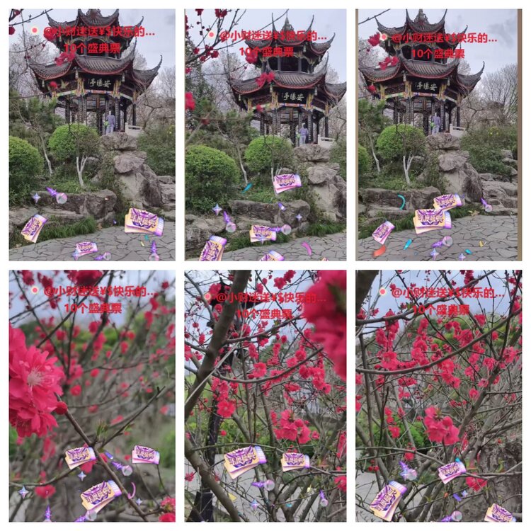 云中云🎤V娱热点