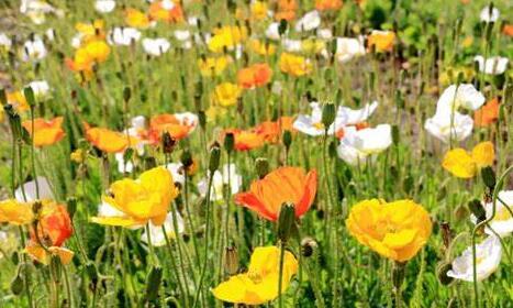 曾经🎤V娱热点