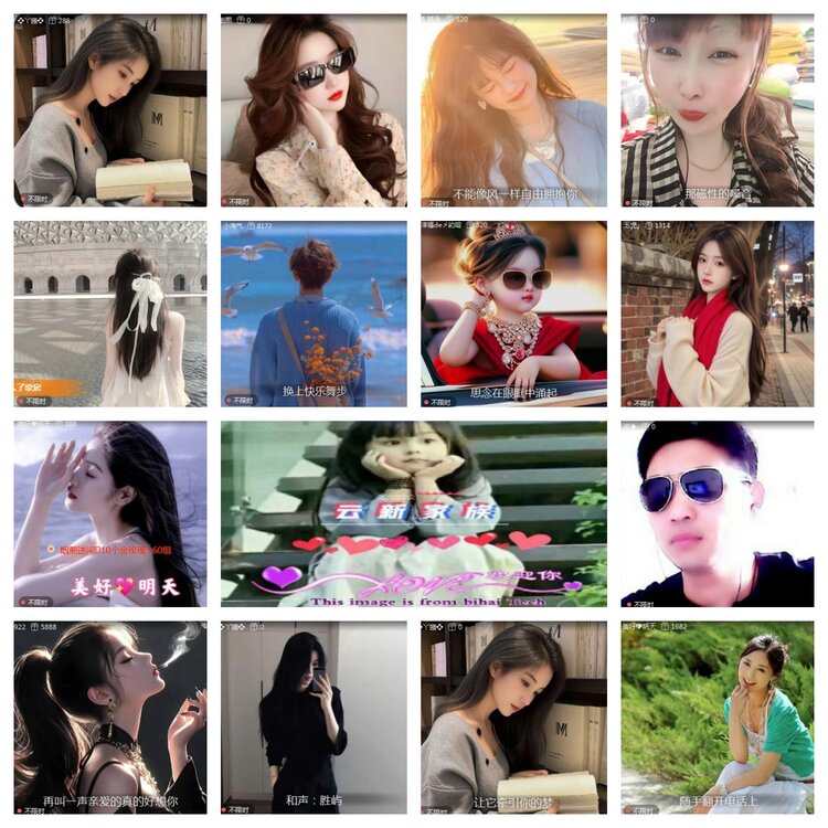 海燕🎤V娱热点