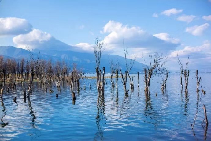 洱海澄明胜景临vv首发