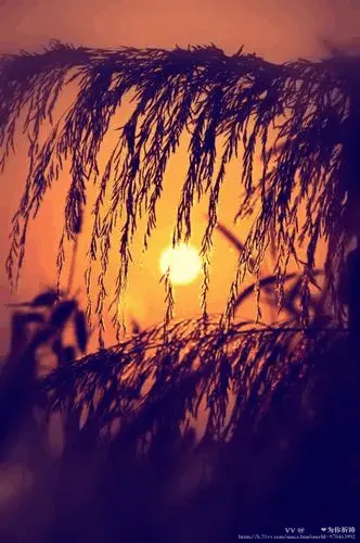 𝕼𝓧❤️为你祈祷