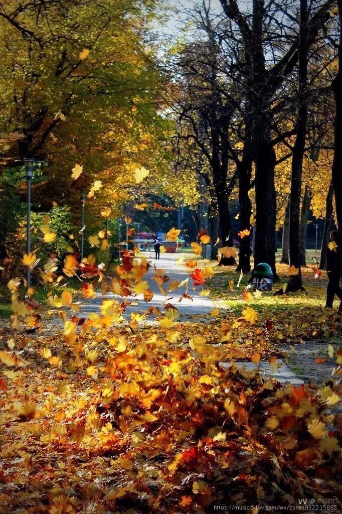 繁华落尽成烟雨