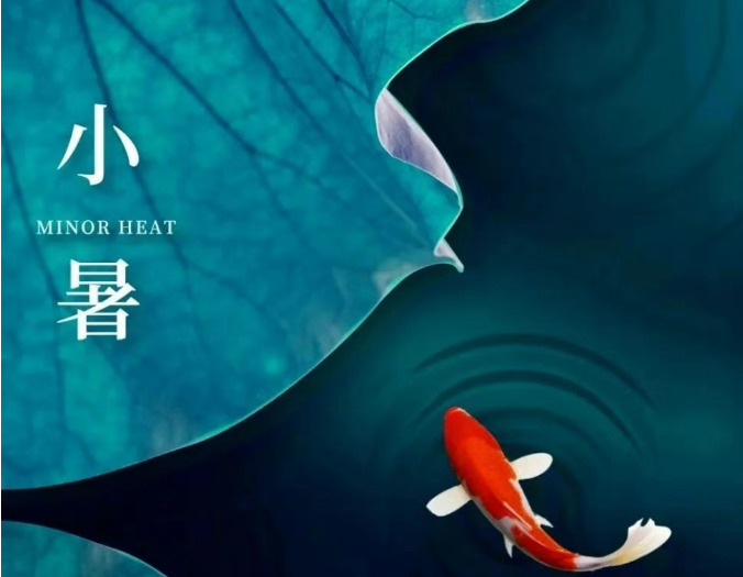 小浅🎤V娱热点