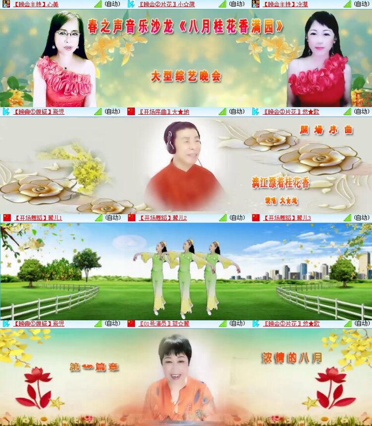 海燕🎤V娱热点