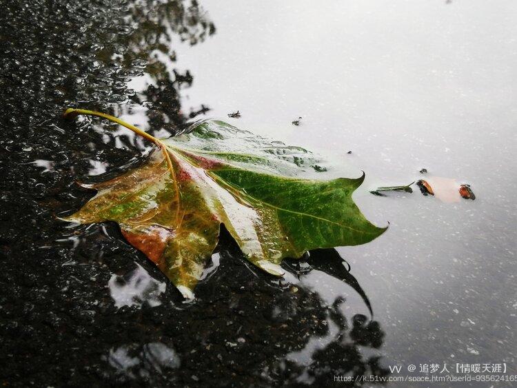追梦人【情暖天涯】