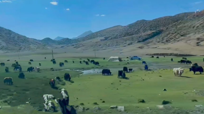 雪儿🎤V娱热点