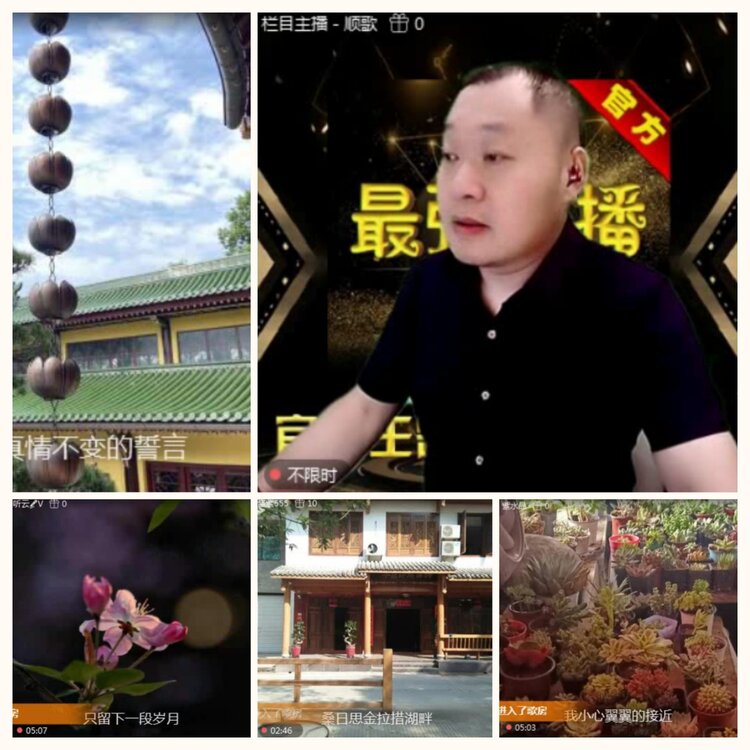 落雪🎤V娱热点