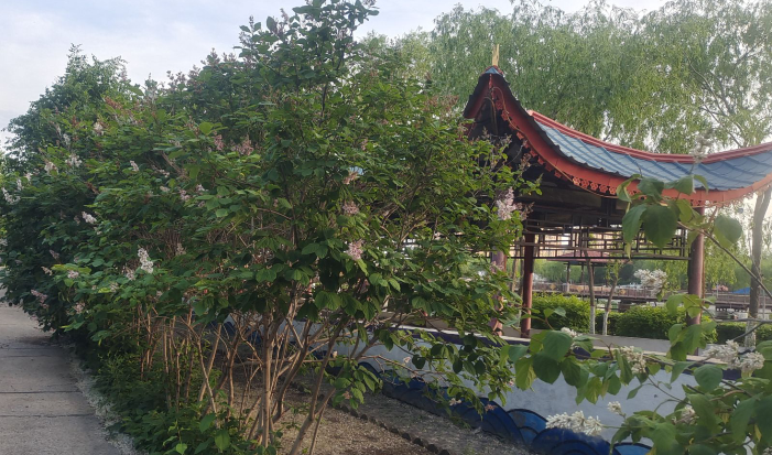 雪儿🎤V娱热点