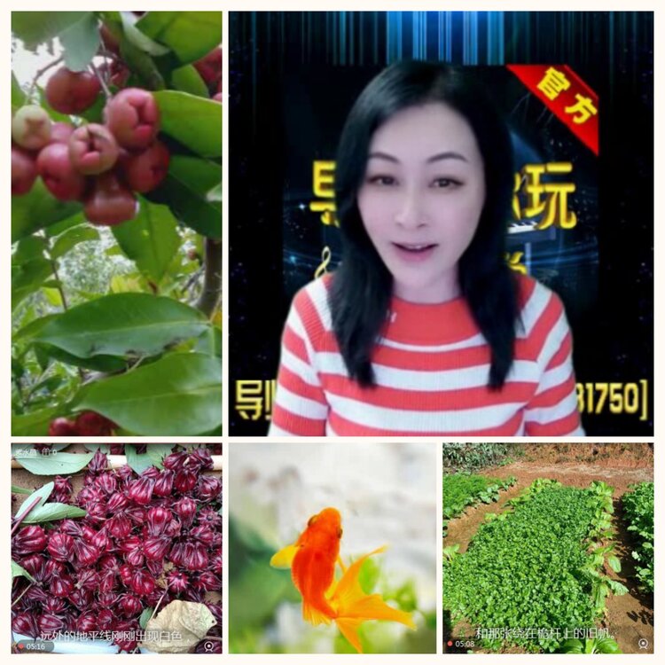 落雪🎤V娱热点