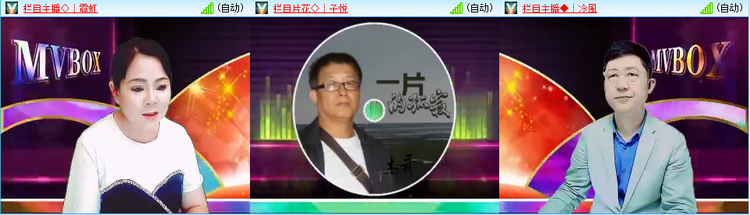 无言🎤V娱热点