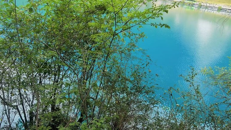 雪儿🎤V娱热点