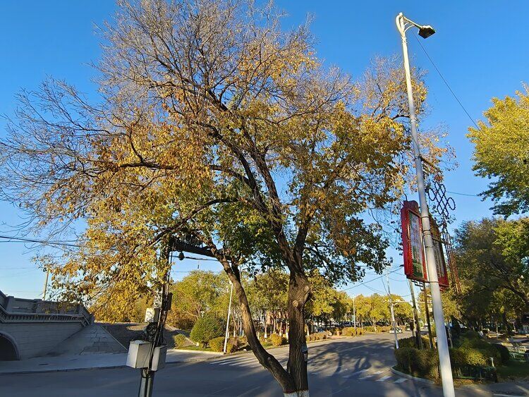 雪儿🎤V娱热点