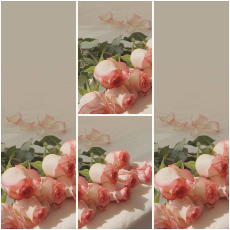 思点🎤V娱热点