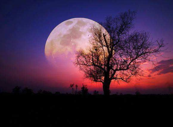 月亮不是传说短诗组