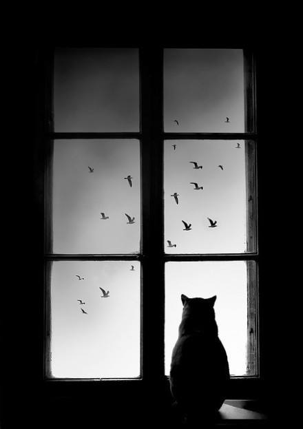 原创首发走出阴霾